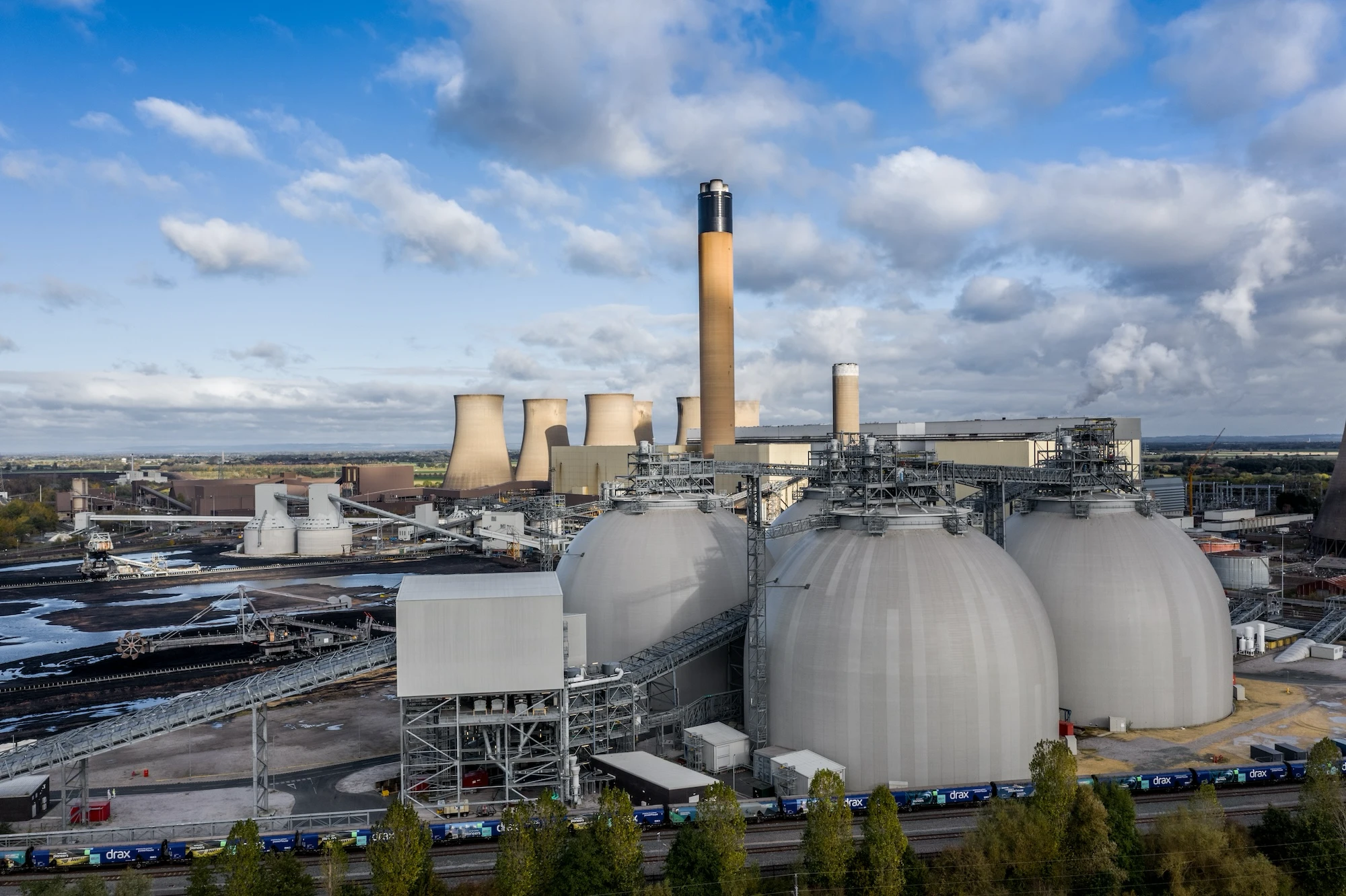 Water & Carbon Cycles
